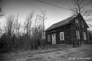 The flowered suitcase's house