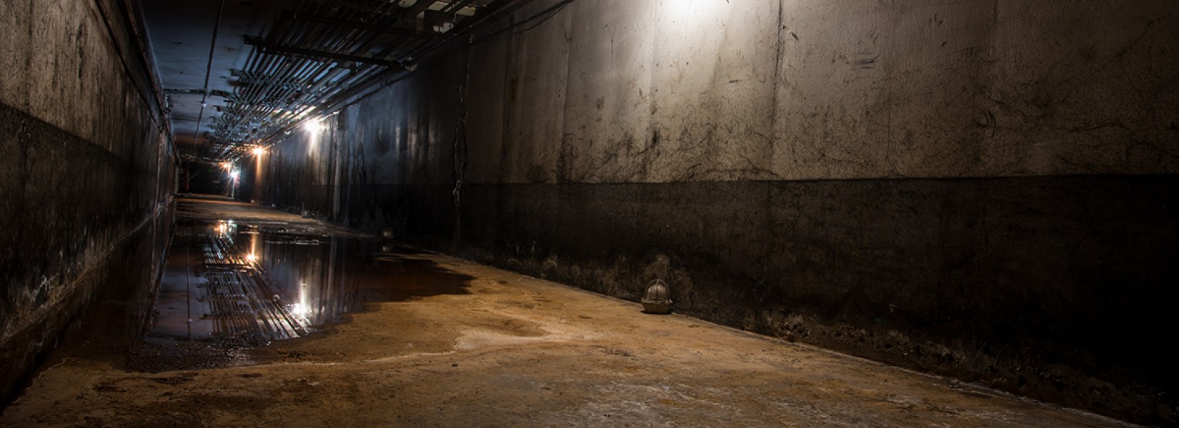 La distillerie abandonnée