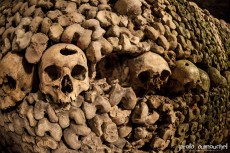 Les Catacombes de Paris