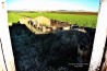 The Abandoned Aerodrome