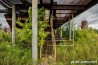 La vieille scierie abandonnée